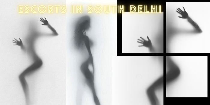  escorts in south delhi