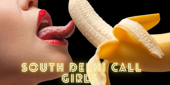  sexy south delhi